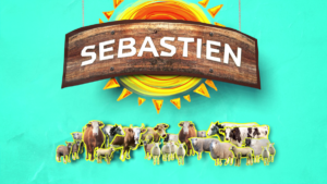 immagine di chiusura video Sebastien project